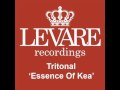 Tritonal - Essence Of Kea (Original Mix) [HQ] 