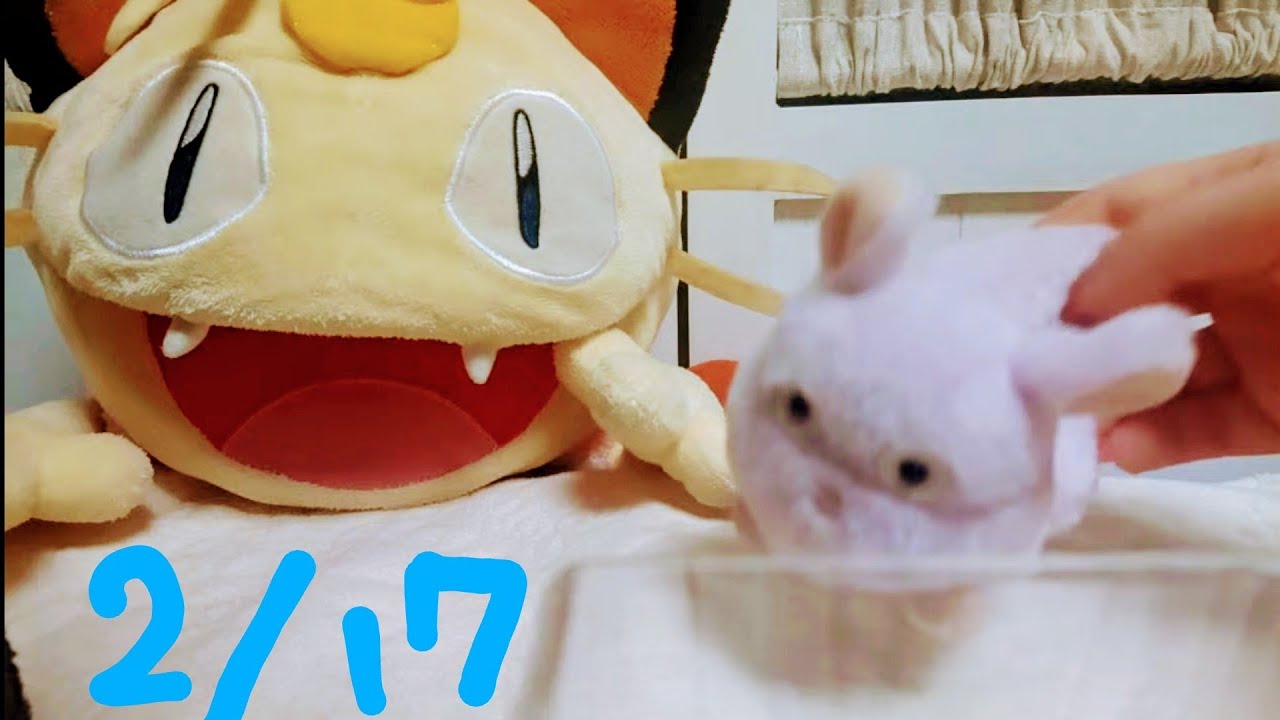 2/17  ライブ配信テスト  マイク確認