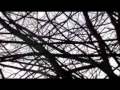 Eat More Cake feat. Alexis Griffith - Red Sky ...