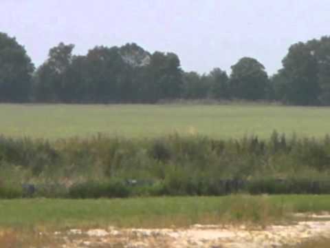 Spoox Motorsport Peugeot 106 Rallye @ Blyton Park WSCC Sprint 14/07/2013 (TR1)
