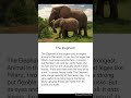English Paragraph The Elephant