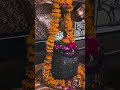 Mahadev Arti Har Har Mahadev Trending Mahadevarti Harharmahadev Shorts