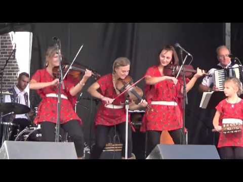 Warsaw Traveler Polka by Pan Franek at Roncesvalles Polish Festival 2015