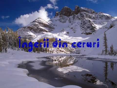 Îngerii din ceruri - Puiu Chibici