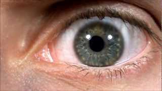 Cat Power - CrossBones Style