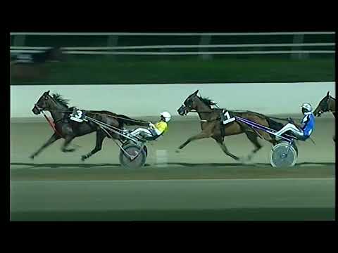 Napoli Trotto 06/08/2022 - 5ª corsa