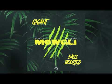 Raff J.R. x TKM & PIT - Mowgli  ★ [ BASS BOOSTED ]