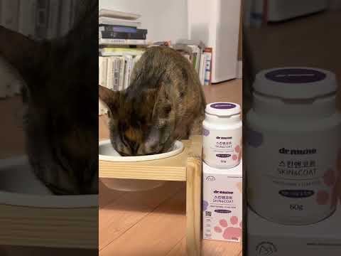 닥터뮨 스킨앤코트