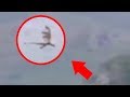 5 REAL DRAGON CAUGHT ON CAMERA IN REAL LIFE