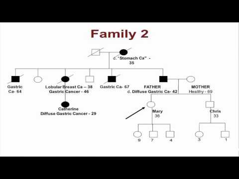 What Can We Learn (And Not Learn) From Cancer Genetic Testing