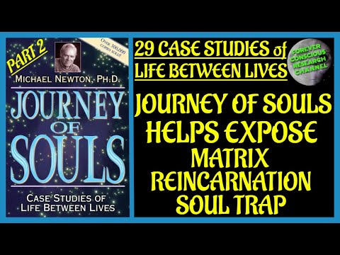 Pt 2 Analysis 29 Case Studies of Life Between Lives Matrix Reincarnation Soul Trap Journey of Souls