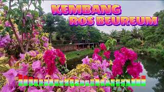 Download lagu KEMBANG ROS BEUREUM - SITER JAIPONG mp3 Download lagu KEMBANG ROS BEUREUM - SITER JAIPONG mp3