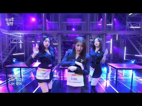 chaewon is debuting, solely based off this