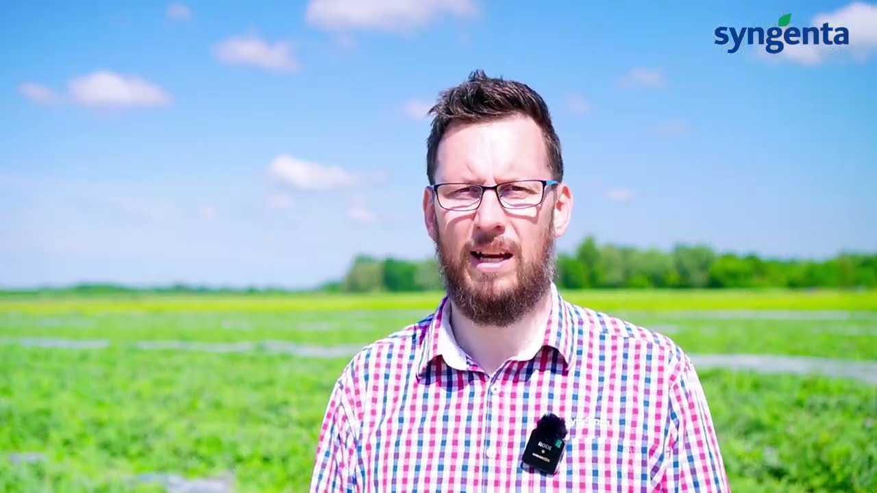 Orondis Evo bemutató videó