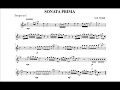 Giovanni Buonaventura Viviani: Sonata prima (Guy Touvron, trumpet) I - II