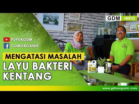 Anda perlu untuk potensi yang super Cara instan untuk meningkatkan potensi pada pria