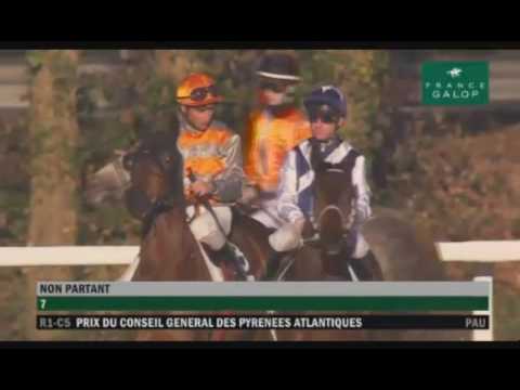 04Ene17 Hipódromo de Pau, Prix Conseil Pyrènées Atlantiques, turf por Maspalomas
