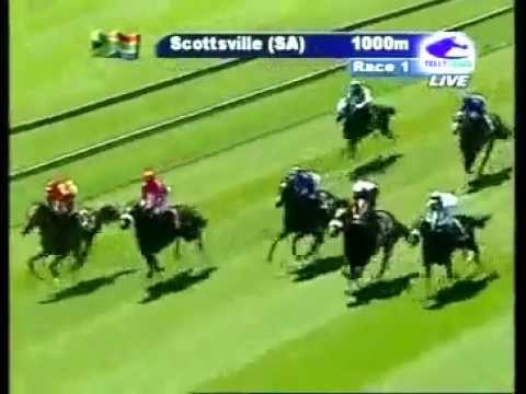 2012-11-11 Scottsville - race 1