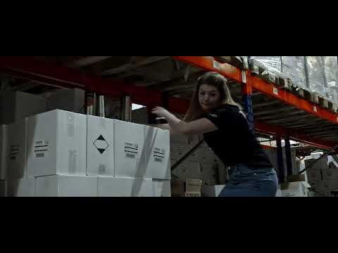 Bspoq Studios - Rugby World Cup - TYGRIS