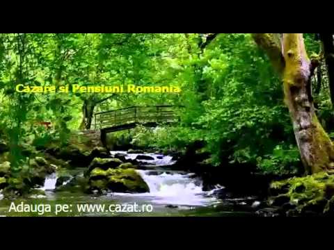 Cazare Telcisor, Bistrita Nasaud - Cazat.ro