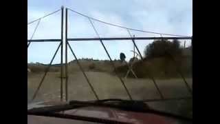 Lower Lake, California Gold Mine