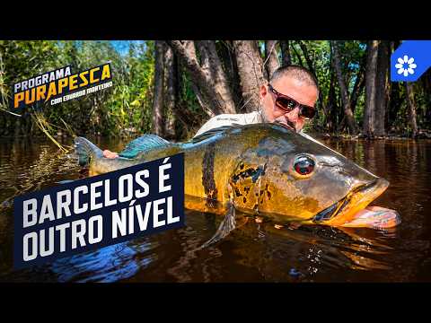 TUCUNARÉ-AÇU DE 80 CM NO RIO CUIUNI | Edu Monteiro em Barcelos