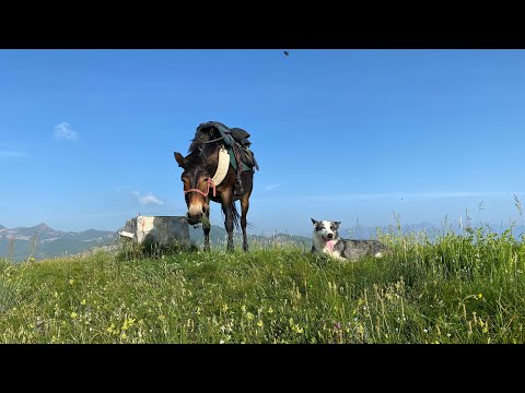 Morning walk with Rain on Mount Chialmo 2020 m. the highest peak in the municipality of Dronero