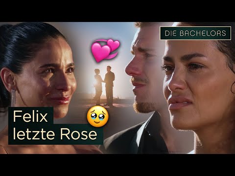 FINALE 🌹: WER darf sich über die LETZTE Rose von Felix freuen? I Die Bachelors