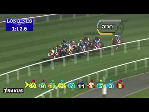 Race 8 - Jebel Hatta Sponsored By Emirates Airlines