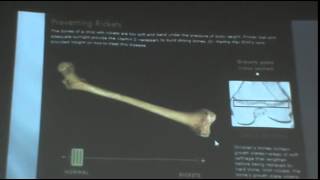 Dr Faisal   Environmental and nutrition   Pathology   Part 2 2