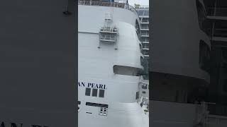 This ship is only half the size of the one next to it!.. #cruiseship #cruise #travel #yt #ytshorts