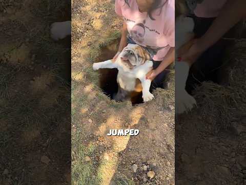 Bro has no situational awareness😂