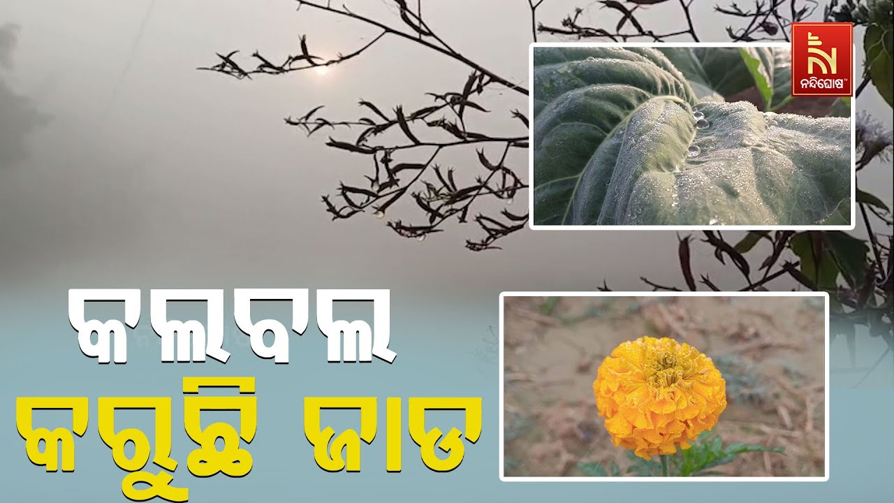 ମୟୂରଭଞ୍ଜ ଜିଲ୍ଲାରେ କଲବଲ କରୁଛି ଜାଡ ; ଆଜି ସର୍ବନିମ୍ନ ତାପ?