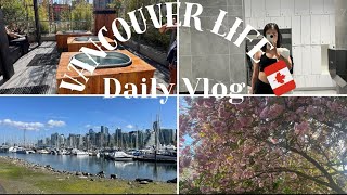 バンクーバー在住Vlog/ yoga retreat /スタンレーパーク一周/クジラ/アザラシ