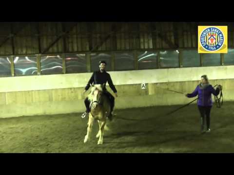 2016-03-11 Fussball U16 "Koordinationstraining" im Reitclub Böhmerwald in Aigen