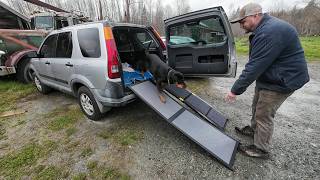Carpeted Dog Ramp VS Uncarpeted