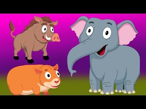 El Sonido de los Animales | Poema infantil | Video Educativo | Animal Sound Song | Educational song