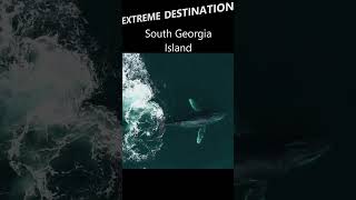 South Georgia Island EXTREME REMOTE South Atlantic Islands you need to visit!  #cruise #expedition