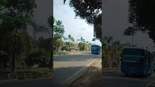 Download lagu BUS DAMRI PRABUMULIH-PALEMABANG#bus #telolet #shorst #viral #basuri mp3