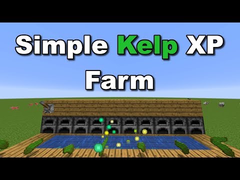 Simple Kelp XP Farm! - Minecraft Tutorial
