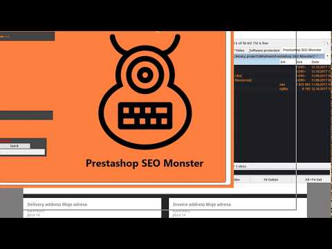How to use serial number for Prestashop SEO Monster