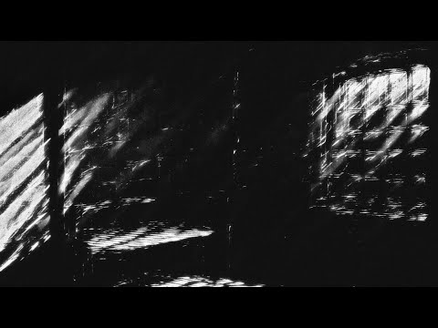 The Volunteers - “L” Lyric Video