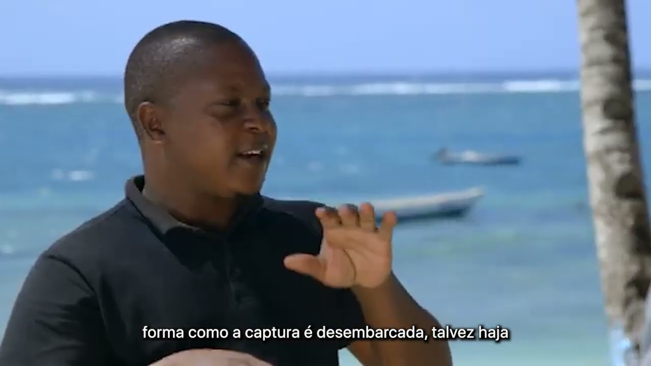Shamba Shape Up S15 – Eps. 21: Tracking & Sustainability, Fishing & Data and Storage (Portuguese)
