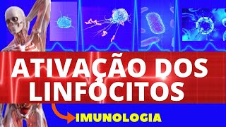 ATIVAÇÃO DE LINFÓCITOS T E B (ENSINO SUPERIOR) - IMUNOLOGIA - SISTEMA IMUNOLÓGICO