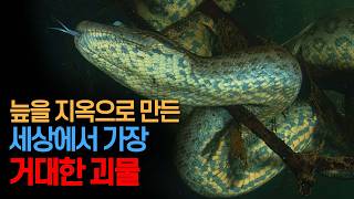 보이지 않는 괴물｜아나콘다