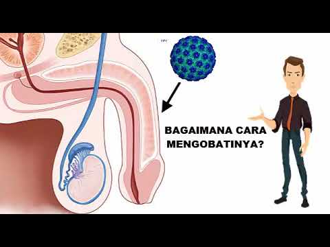 HPV és prostatitis