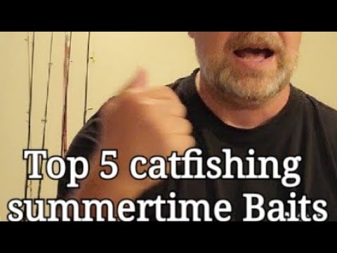 Top 5 favorite summertime catfish bait