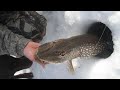Video Thumbnail for “FishTip” Pike Wabamun Lake