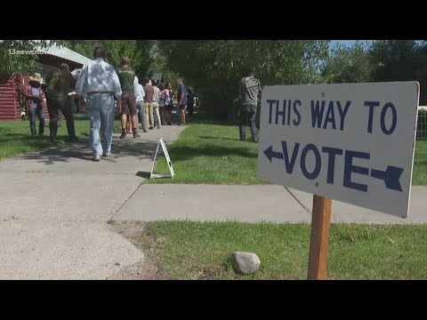 Voters in Virginia Beach 'overwhelmingly' prefer current 10-1 voting system