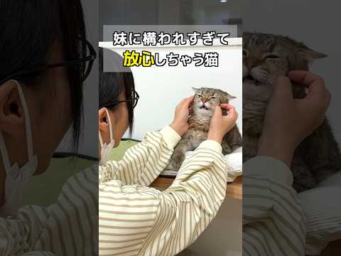 youtube-動物記事2024/02/15 10:21:27